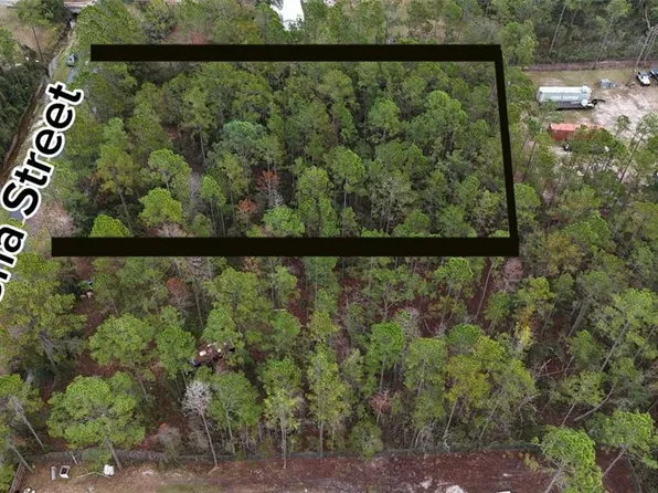 4325 Helena St, Hastings, FL 32145