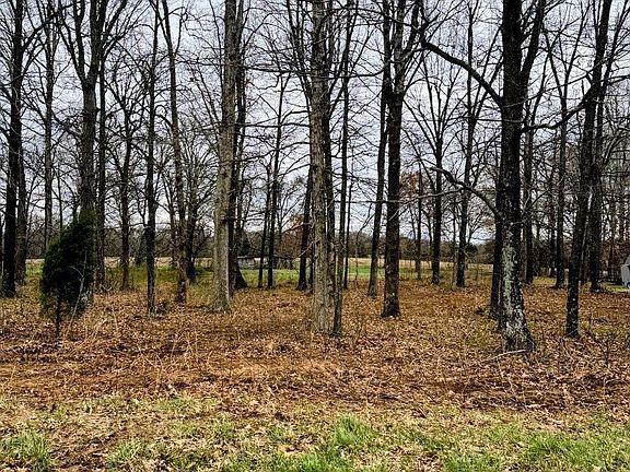4th image of 0 Bill Butler Rd