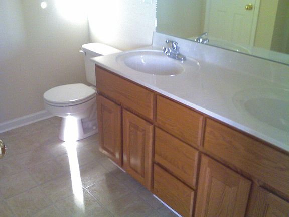 Double Vanity and Shower/tub combo in Master Bedroom.