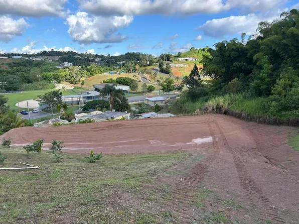 Carr 155 Km 31.2 Int Bo Barros, Orocovis, PR 00720