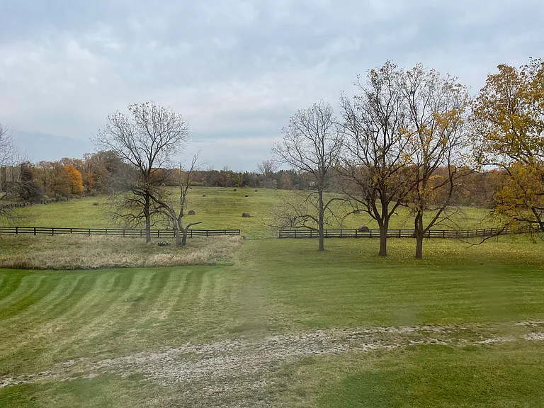 4770 Sheldon Rd — Photo 35