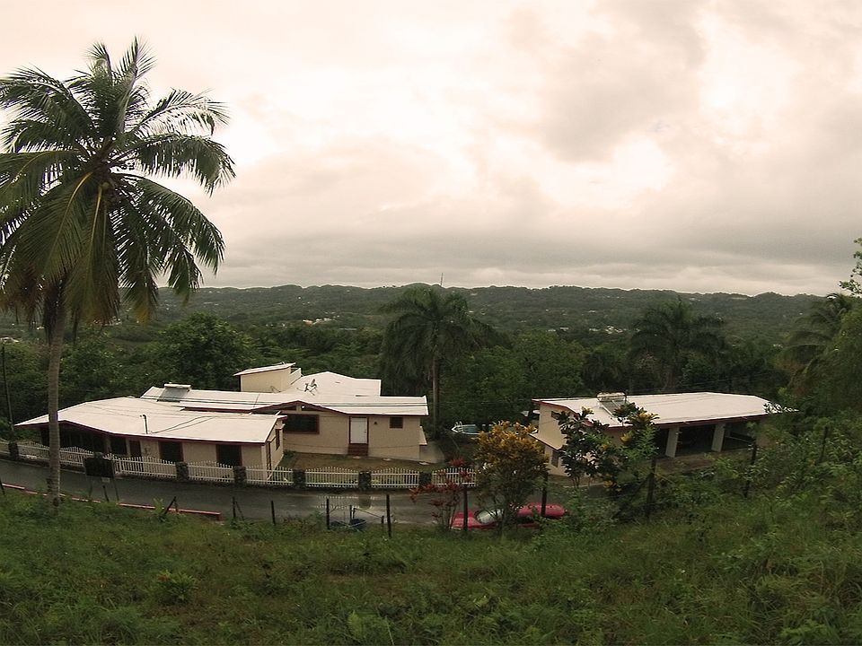 Panoramic View