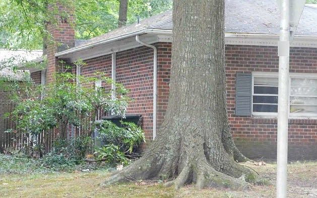 2nd image of 244 Beauregard Hts