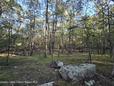 Tbd Glasco Turnpike, Woodstock, NY, 12498