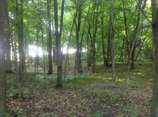 10039 Wildlife Rdg, Manchester, MI 48158