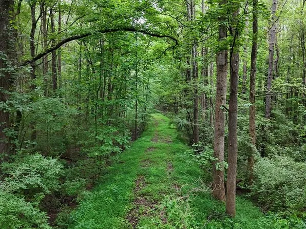 0 Zara Spook Dr, Cedar Grove, TN 38321