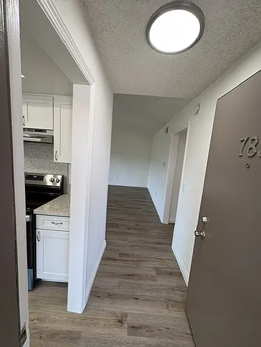789 Amigos Way Photo 1
