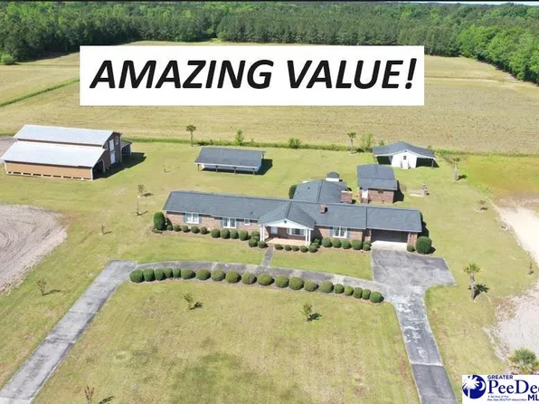 4613 N Old Georgetown Rd, Coward, SC 29530