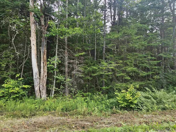 M14 L271 Lincoln Drive, Washington, NH 03280