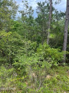 0 Aster Cir, Marianna, FL, 32448