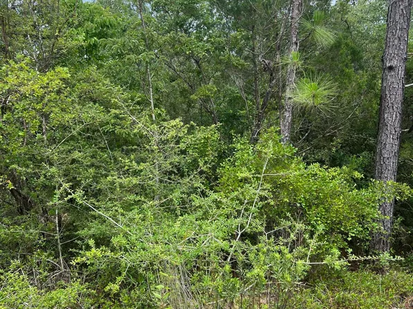 0 Aster Cir, Marianna, FL 32448