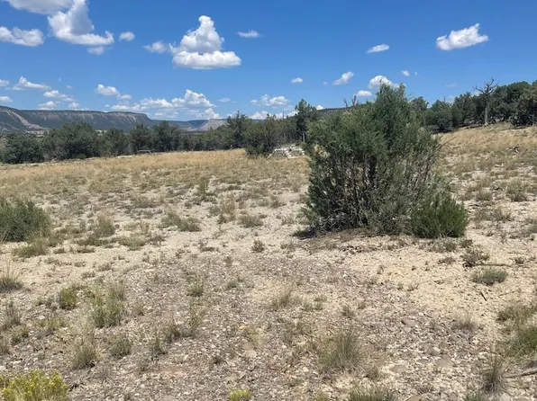 Cll De Los Coyotes NW, Chama, NM 87520