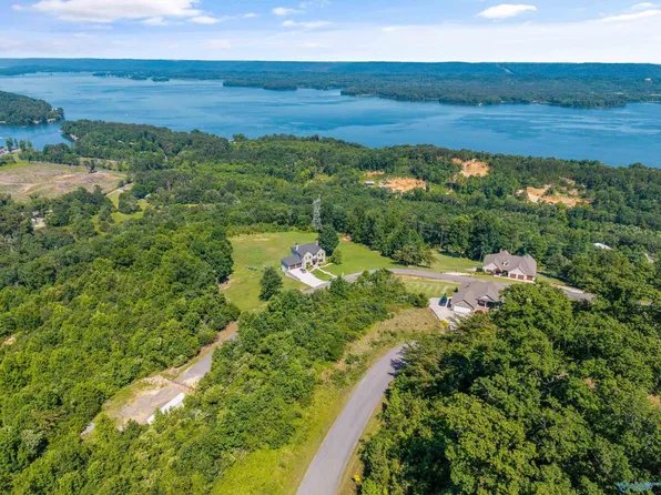 32 Keene Point Dr, Grant, AL 35747