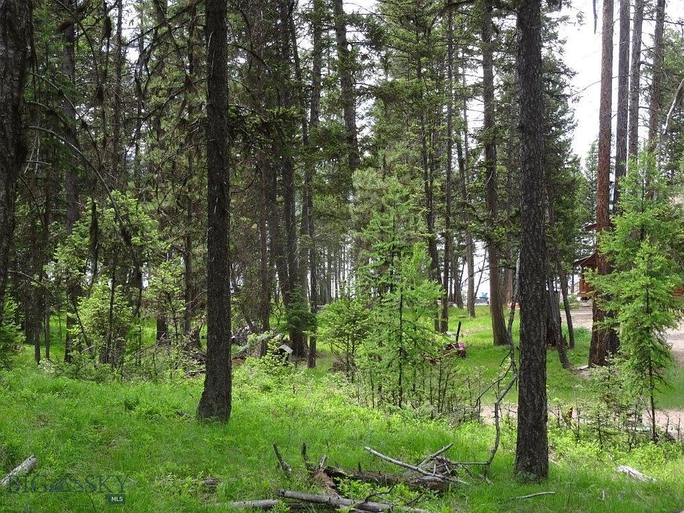 2nd image of A2 Enchanted Forest Rd