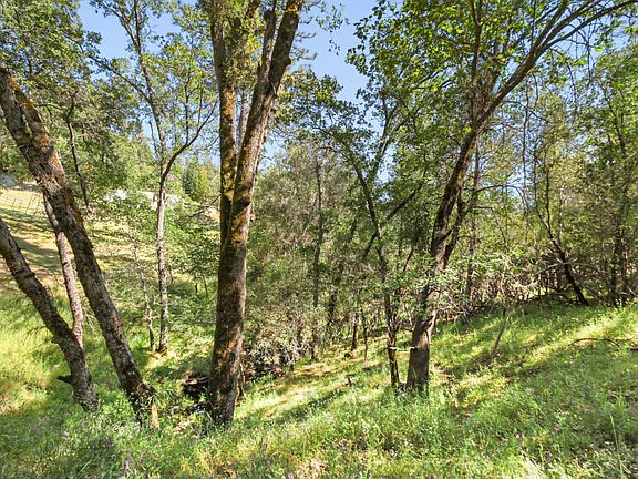 4th image of Hoot Owl Ravine Rd
