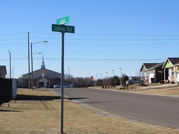 Lotus & Lotus Cir off Maize 