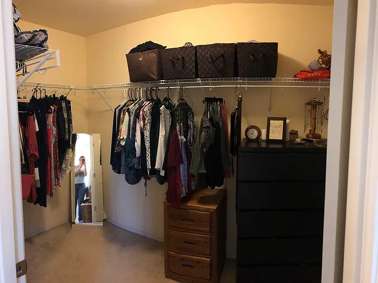 Walk in closet (primary suite)