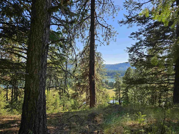 Nka Pleasant Drive East Dr, Newport, WA 99156