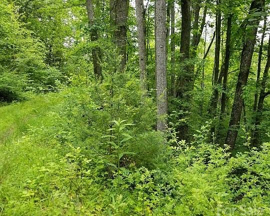 5th image of Pack Saddle Dr