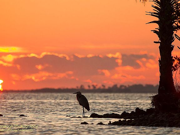 The Mosquito Lagoon