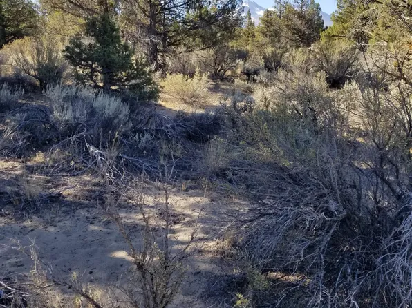 LOT 11 Paradise Ln, Montague, CA 96064