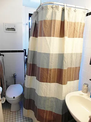 Rented by Citi Habitats | media 11