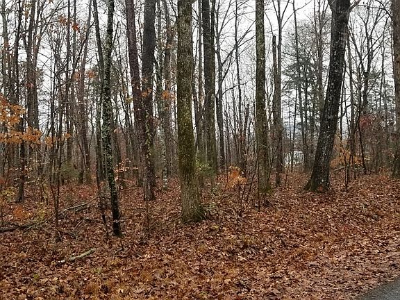 4th image of 0 Coleman Rd