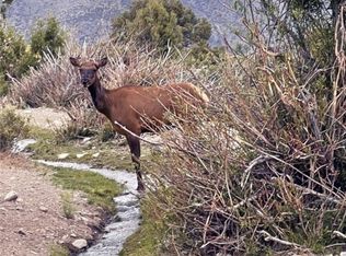 3 Clearview Ave, Las Vegas, NV 89124