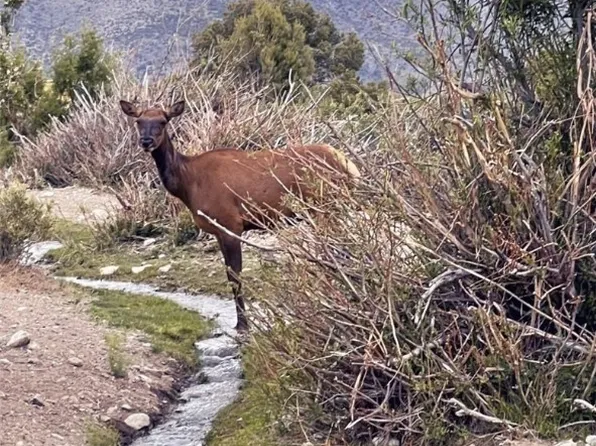 3 Clearview Ave, Las Vegas, NV 89124