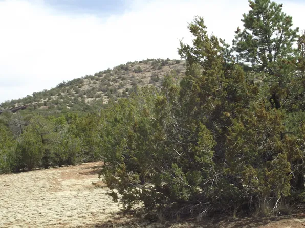 1340 E Broken Wheel Rd, Williams, AZ 86046