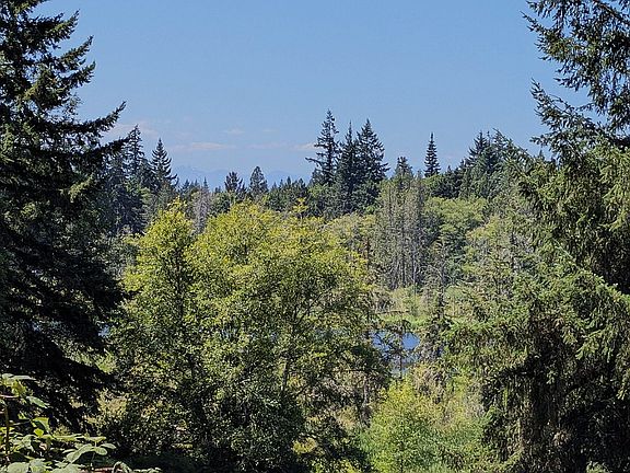 View of lake and Olympic mountains from the kitchen window