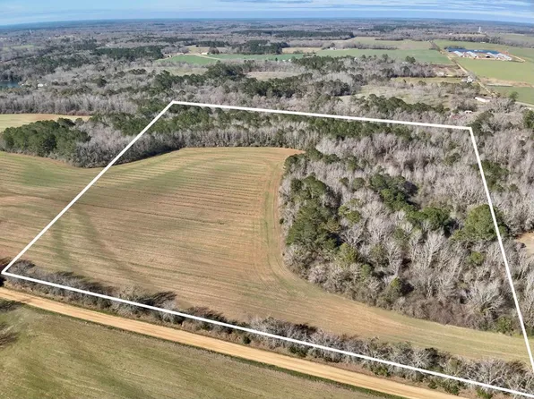 County Road 734, Chancellor, AL 36316