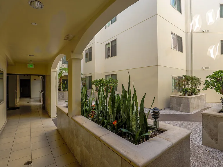 Lower-Level of Interior Courtyard