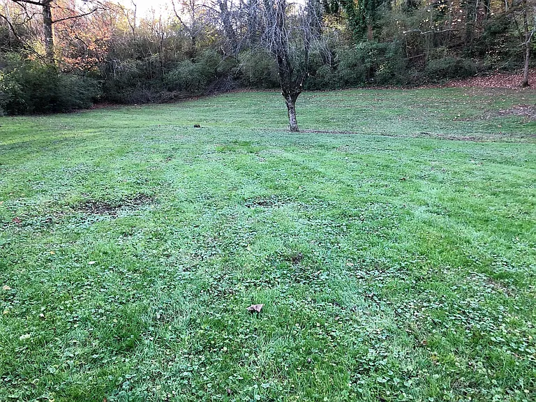 Large, flat back yard.