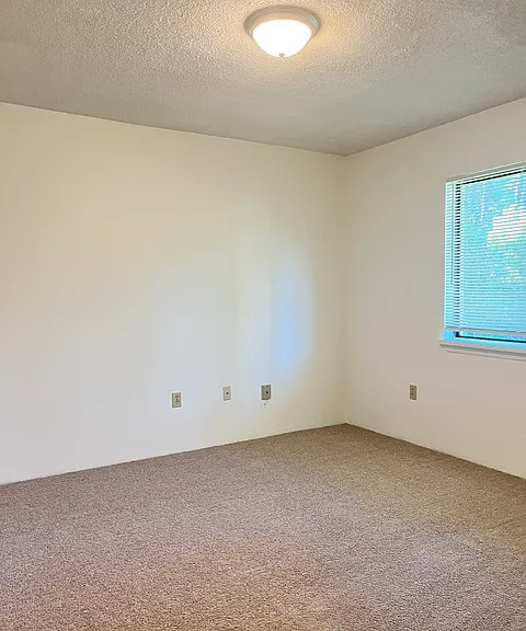 1199 Pine St — Photo 10