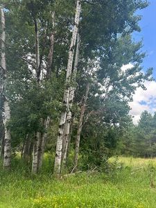 0000 Scott Dr, Spooner, WI, 54801