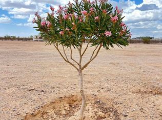 0 S 355th Ave Lot 1, Tonopah, AZ 85354