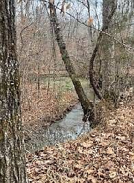 2nd image of 12 Tellico Trl #12