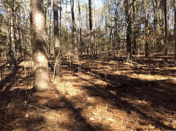 TRACT 3 Easy St, Drasco, AR 72530