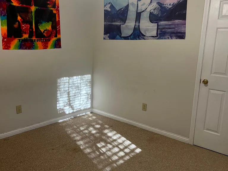 2424 English Station Dr — Photo 8