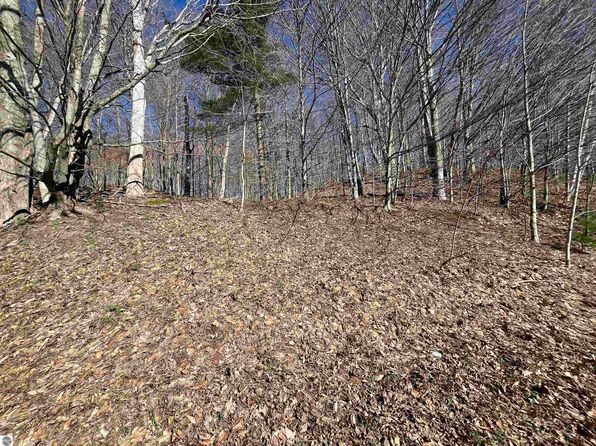 PARCEL Lobb Rd #D, Frankfort, MI 49635