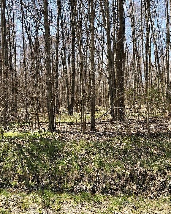 2nd image of Hines Rd