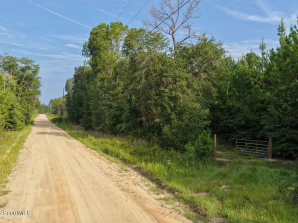 1 Ed Harrell Rd, Hortense, GA 31543