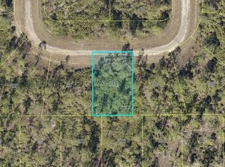 329 Roberta Ct, Lehigh Acres, FL 33972