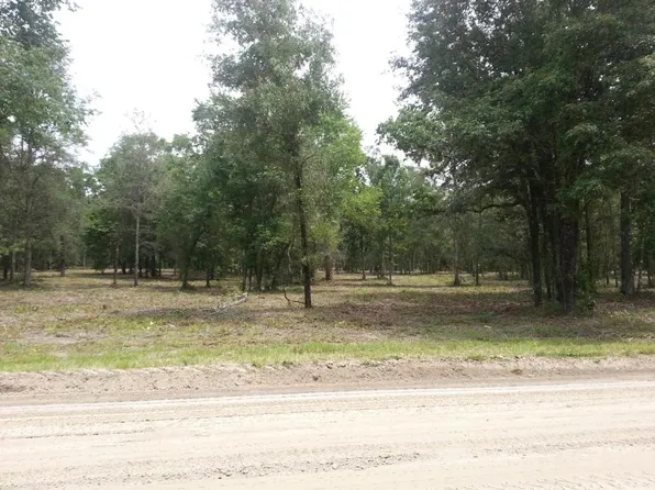 0 SW Tangerine Dr, Fort White, FL 32038