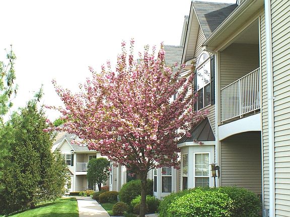 2nd image of 132 Cambridge Ct #B032