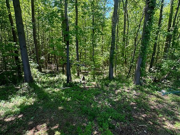 2nd image of 113 Brayton Ln