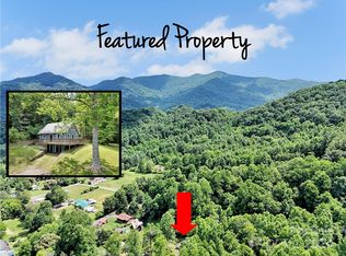 1219 Burnette Cove Rd, Canton, NC 28716