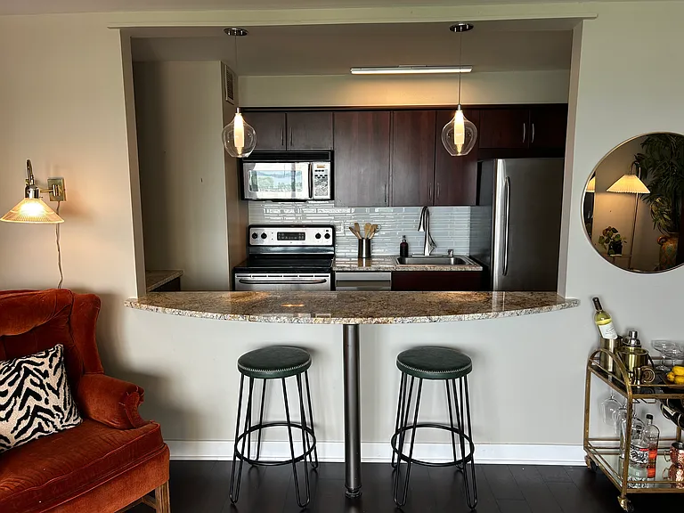 3100 N Lake Shore Dr #1212 — Photo 8
