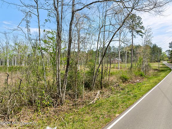 3rd image of 0 Scruggs Rd